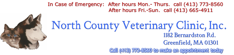 North County Veterinary Clinic